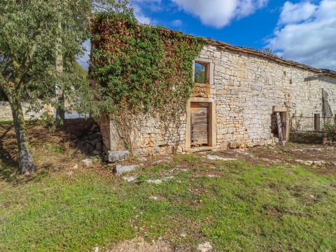 Kanfanar, surroundings, land with antiquity