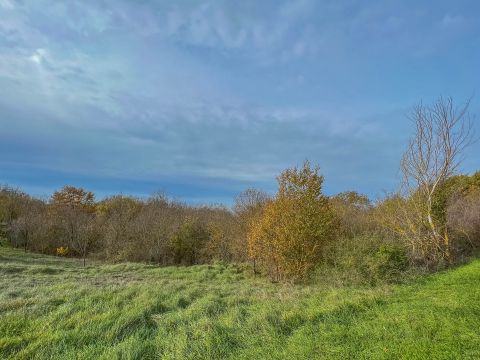 Motovun area, spacious land for investment