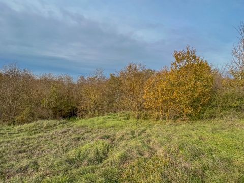 Motovun area, spacious land for investment