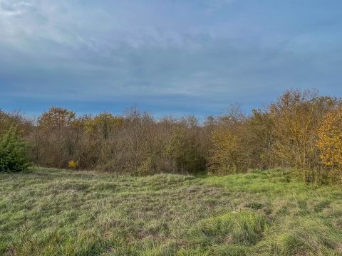 Motovun area, spacious land for investment