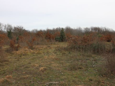 Svetvinčenat, surroundings, complex of construction and agricultural land