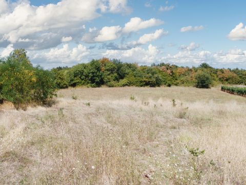 Poreč, surroundings – spacious edge plot 6km from the sea