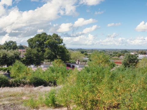 Poreč, surroundings – spacious edge plot 6km from the sea