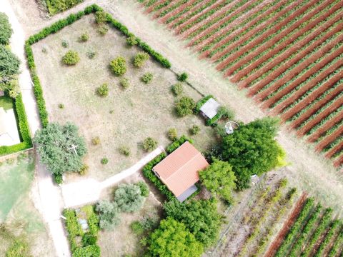 Poreč area – house with spacious land in a peaceful setting