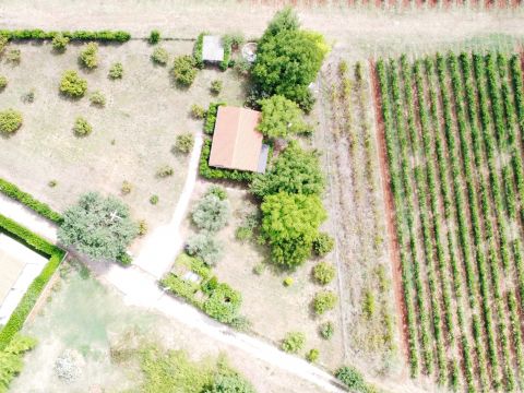 Poreč area – house with spacious land in a peaceful setting