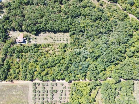 Poreč area, attractive land for tourist purposes T2