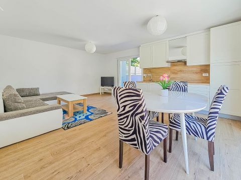 Novigrad, modern house with swimming pool!