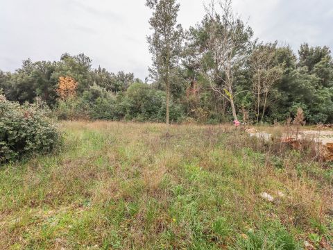 Rovinj! Landwirtschaftliche Nutzfl&auml;che in Meeresn&auml;he!