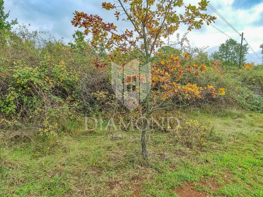 Parenzo, dintorni, terreno edificabile!