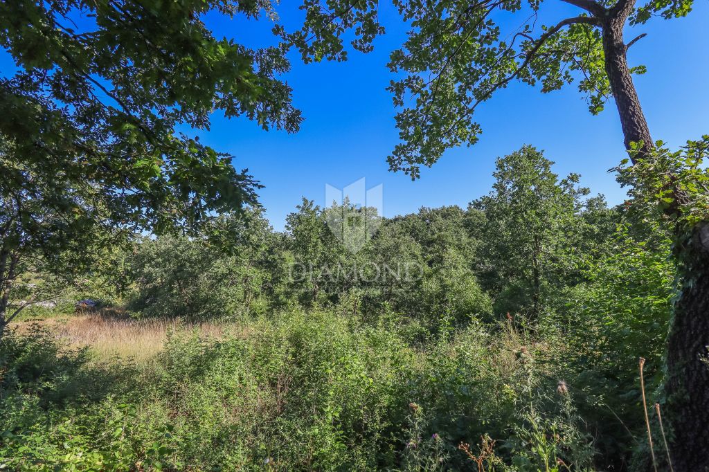 Svetvinčenat, gradbeno zemlji&scaron;če na odlični lokaciji!