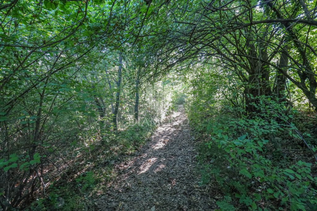 Terreno con collegamenti nelle vicinanze di Svetvinčenat
