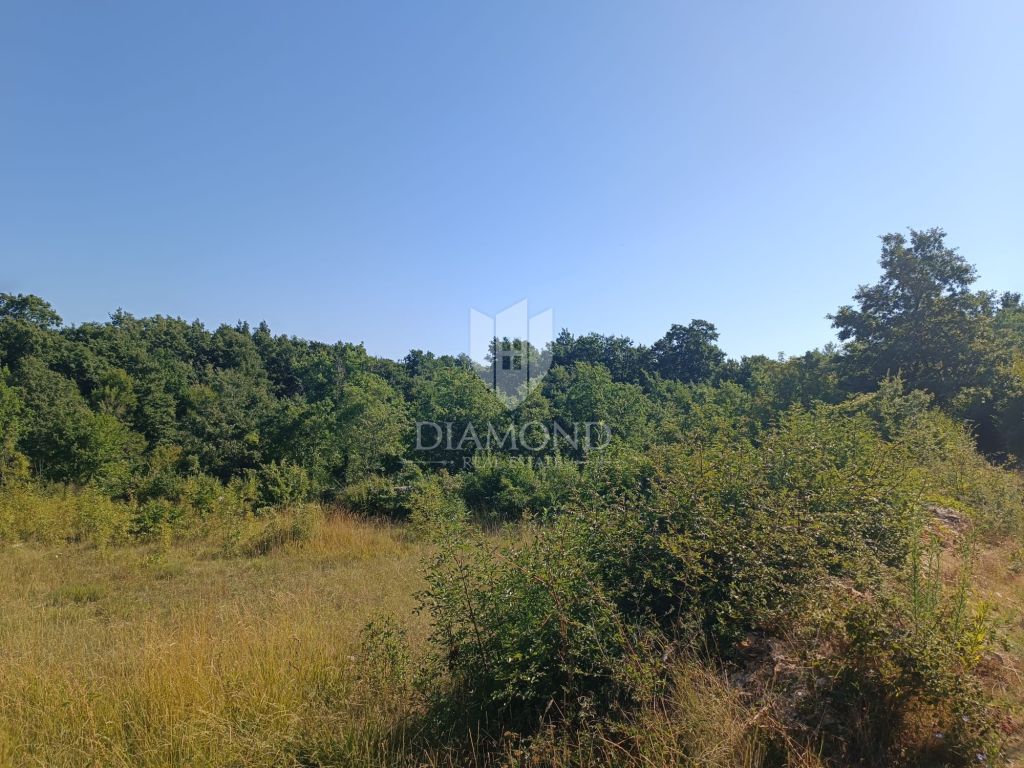 Terreno con collegamenti nelle vicinanze di Svetvinčenat