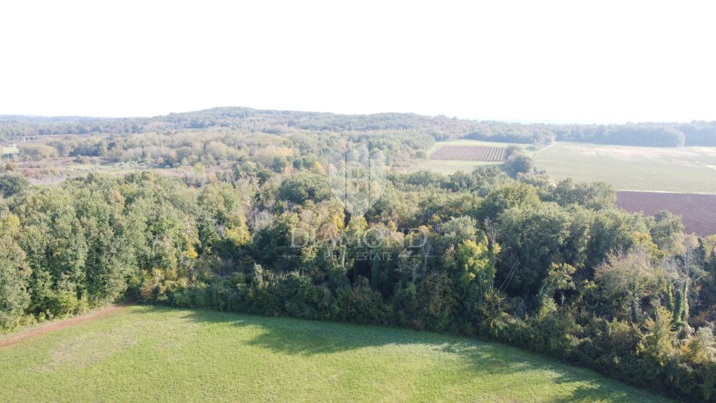 Istria, Poreč &ndash; Agricultural land 14,882 m&sup2;