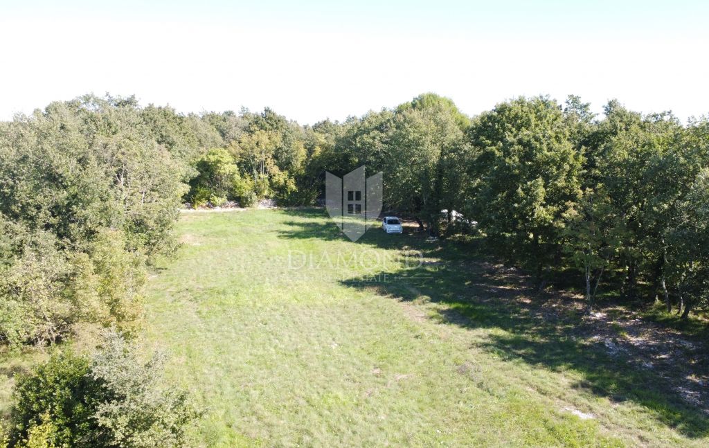 Poreč, surroundings, spacious land in nature in a secluded area