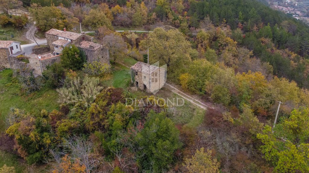 Motovun, Nepremičnina z odličnim razvojnim potencialom!