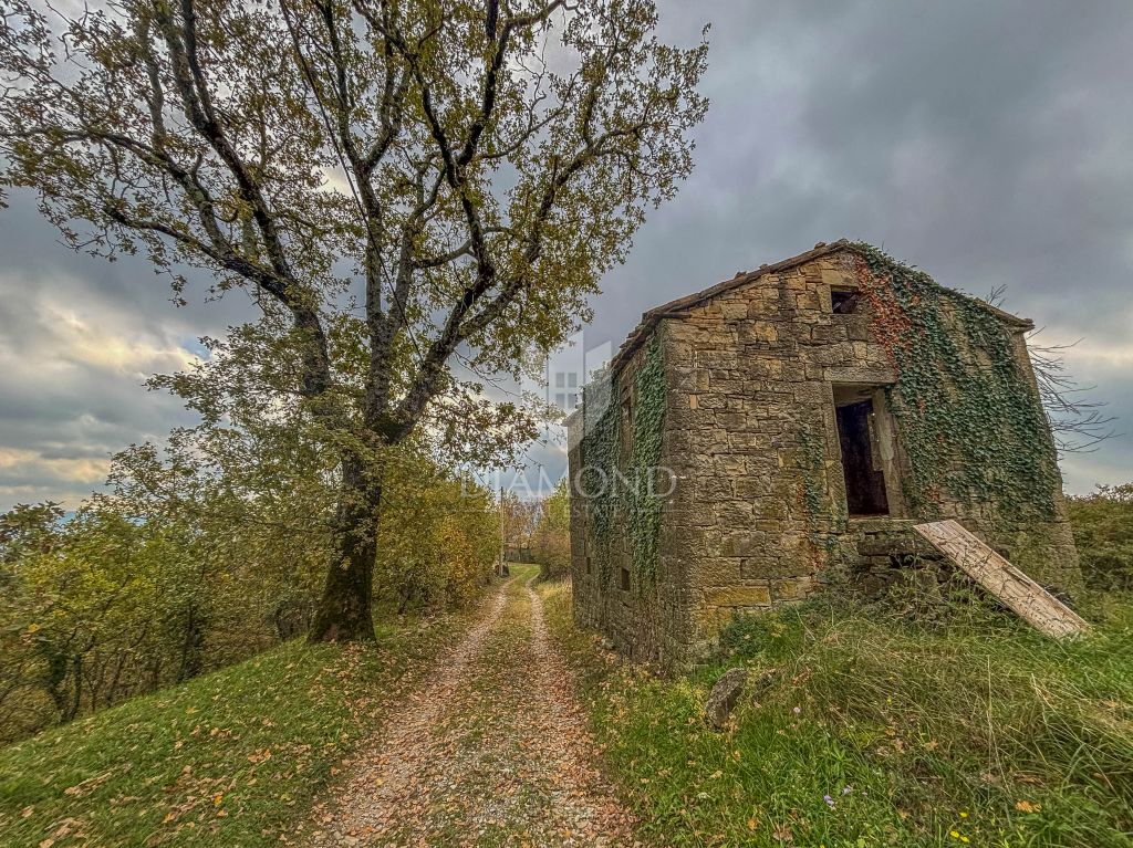 Motovun, Nepremičnina z odličnim razvojnim potencialom!