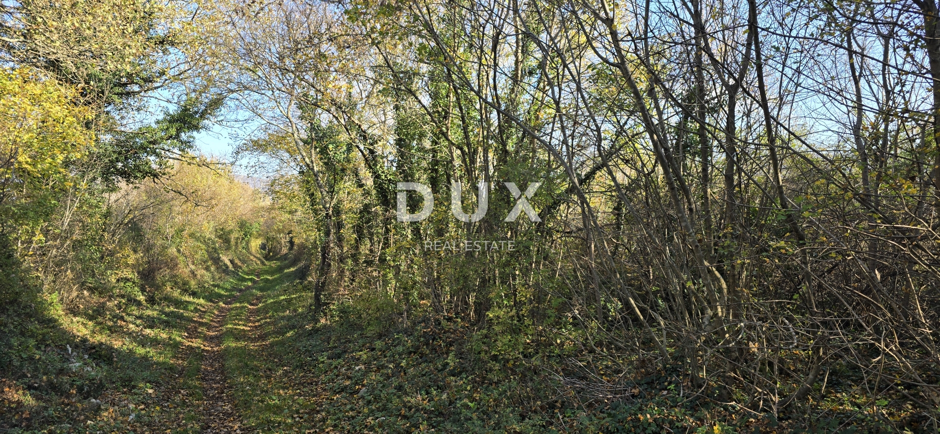 ISTRA, KRŠAN - Prostrano poljoprivredno zemljište