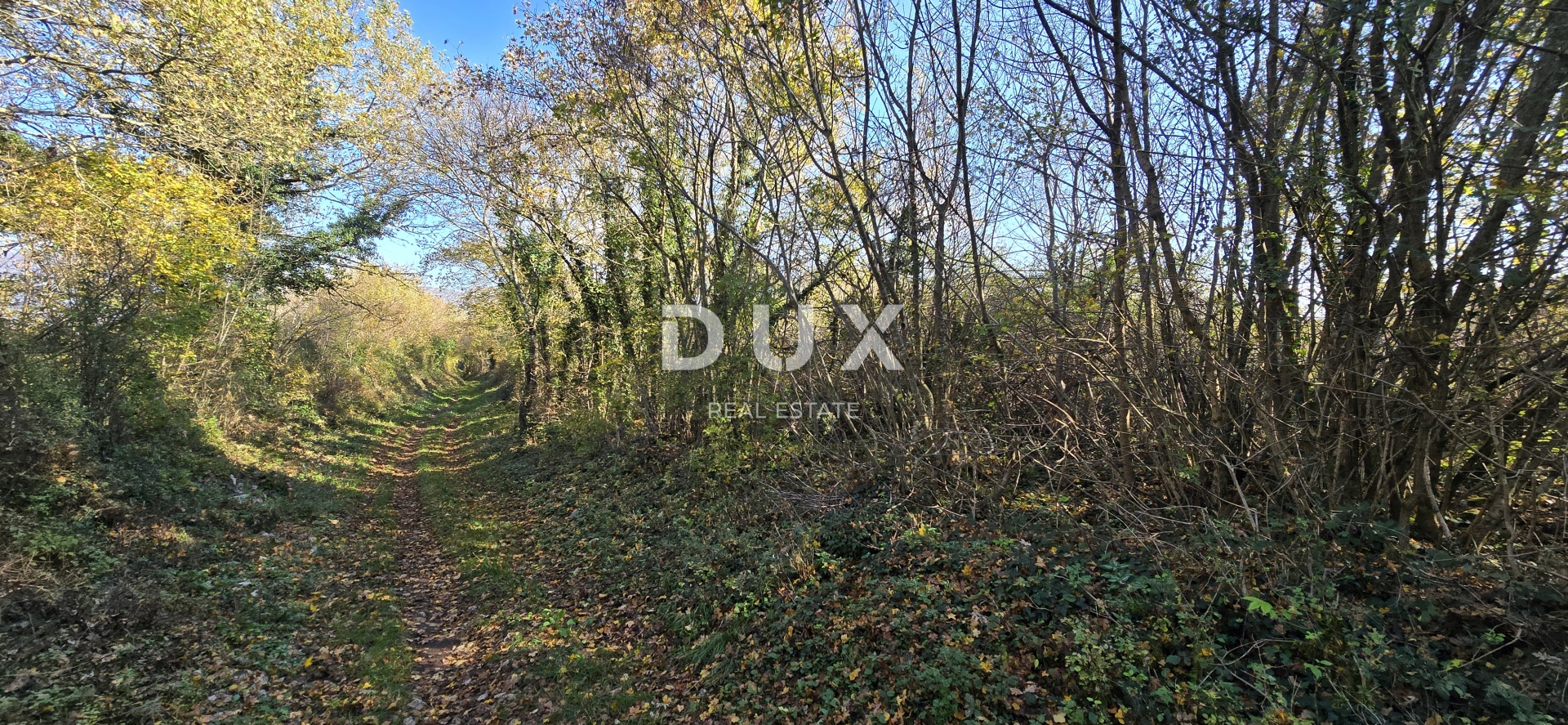 ISTRA, KRŠAN - Prostrano poljoprivredno zemljište