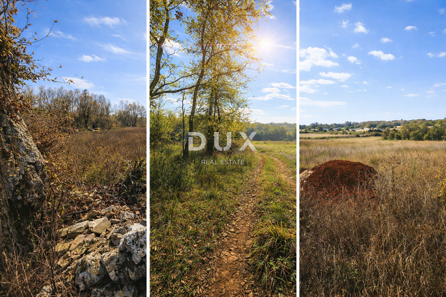 ISTRIA, GAMBETIĆI - Agricultural land in a quiet and sunny location