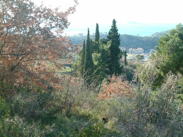 Prodaja građevinskog zemljišta u Župi dubrovačkoj