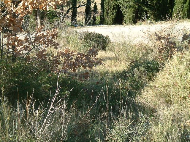 Prodaja građevinskog zemljišta u Župi dubrovačkoj