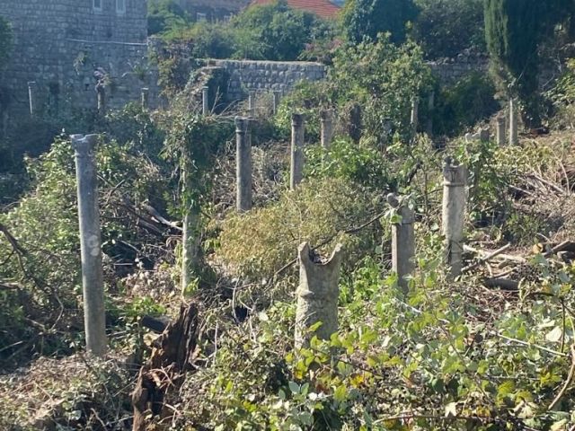 Ljetnikovac s orsanom i velikim vrtom na Rijeci dubrovačkoj/ DUBROVNIK