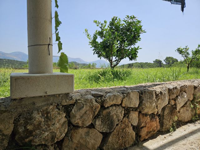 Prodaja tradicionalna kamene kuće s velikom okućnicom i maslinicima, Šipan