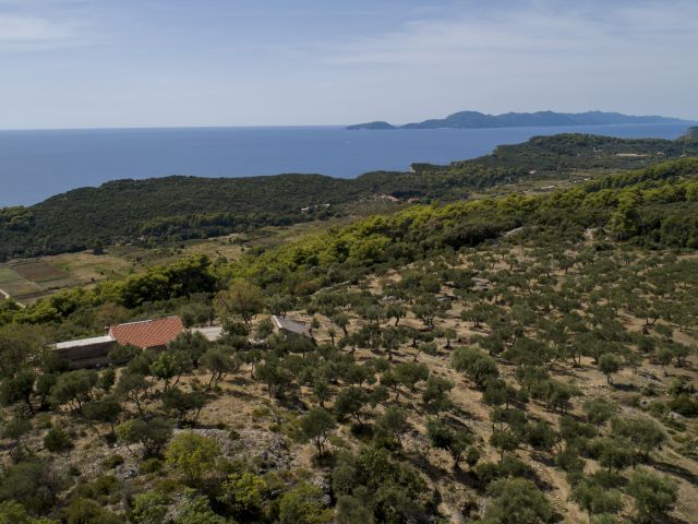 Sale of the property with ruins and incredible land on the island of Šipan near Dubrovnik