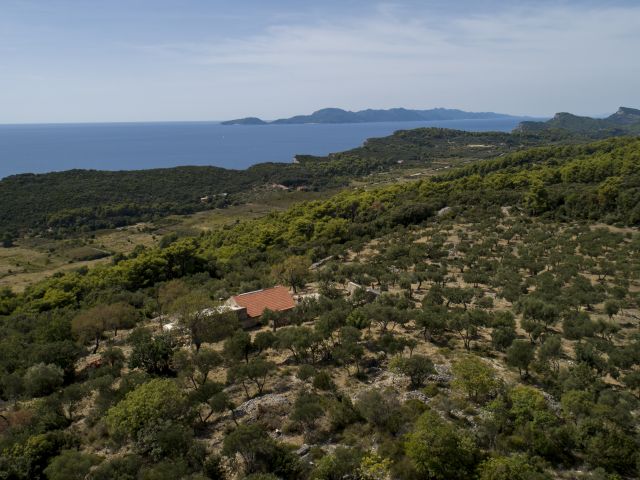 Prodaja imanja s ruševinama i nevjerojatnim zemljištem na otoku Šipanu kraj Dubrovnika