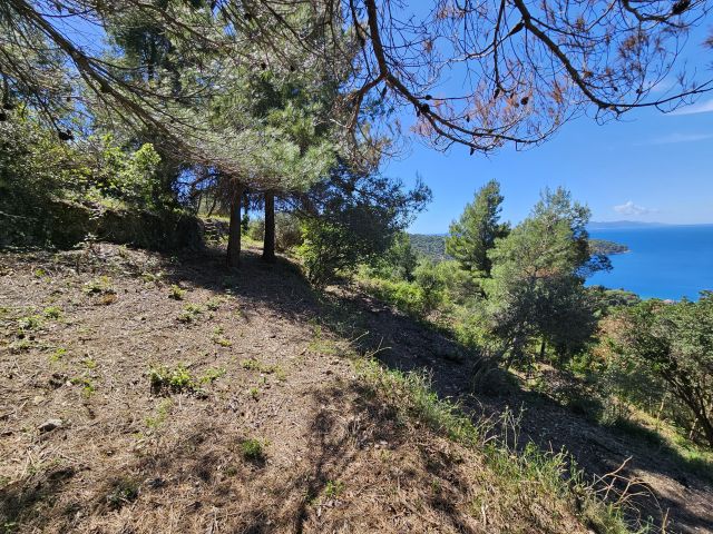 Sale of an exceptional building plot on island of Lopud near Dubrovnik