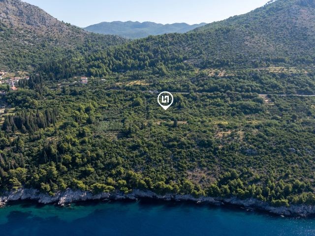 Agricultural land for sale in Trsteni, near Dubrovnik