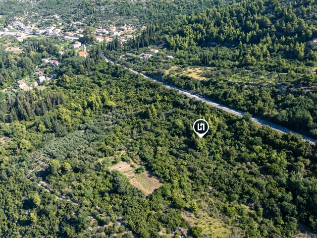 Agricultural land for sale in Trsteni, near Dubrovnik