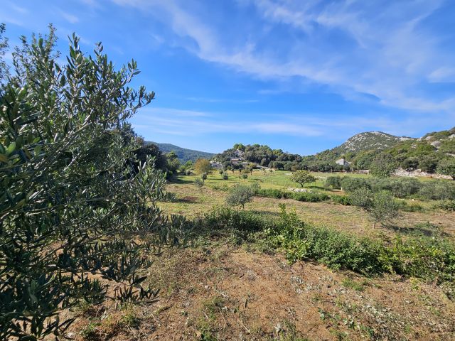 Ruined house with impressive land plot for sale, Lopud island near Dubrovnik