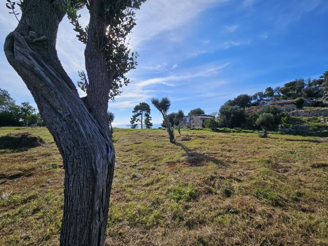 Ruined house with impressive land plot for sale, Lopud island near Dubrovnik