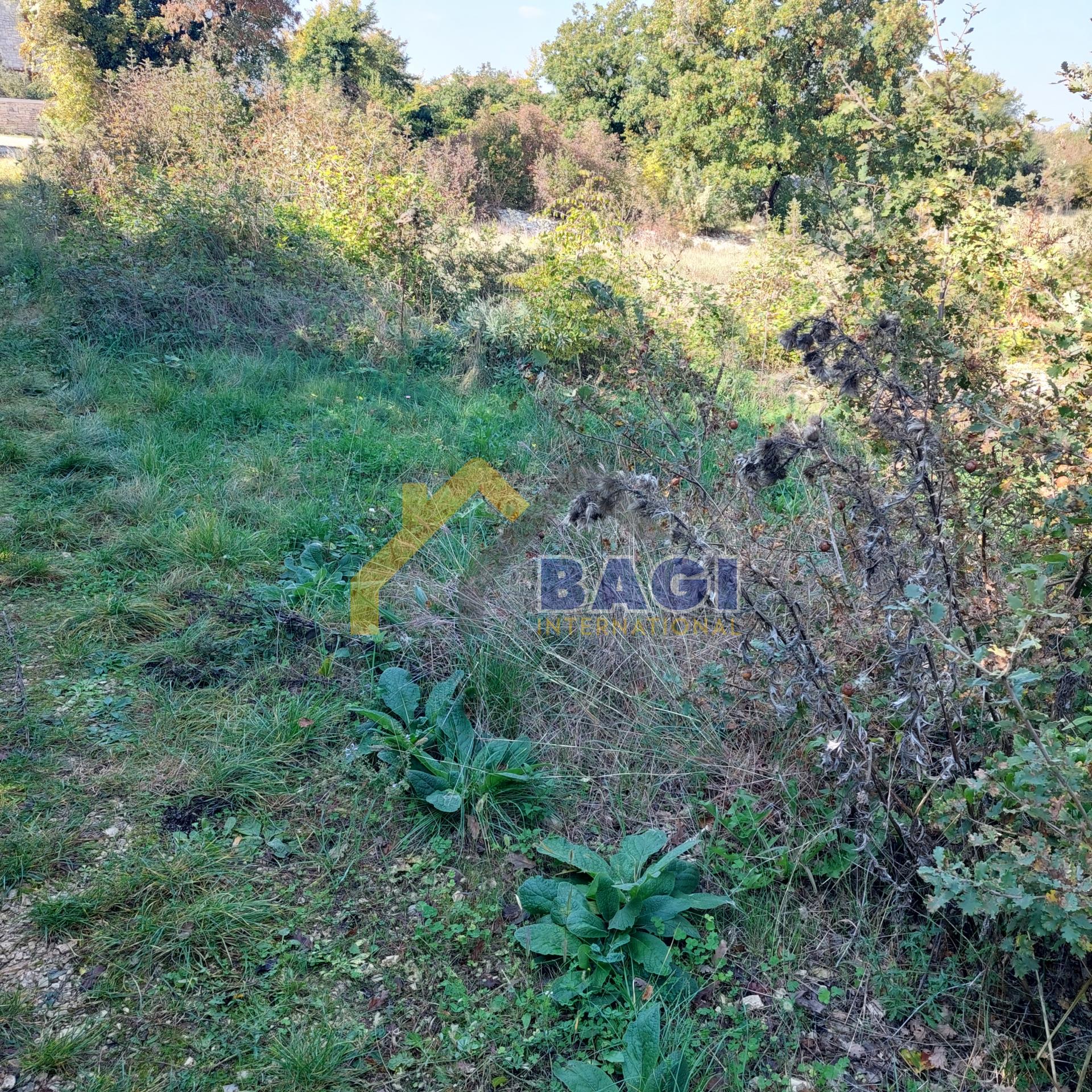 OPPORTUNITY BUILDING LAND 1138m2 VIŠNJAN RAPAVEL