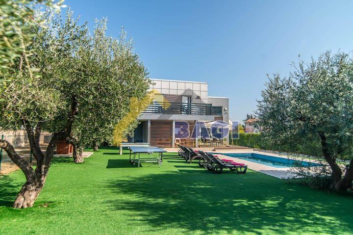 VODNJAN- prekrasna vila s maslinikom