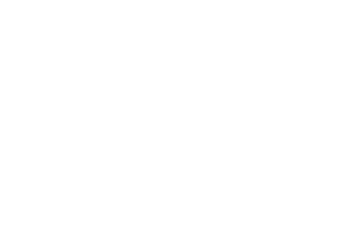 Nepremičninska agencija z licenco